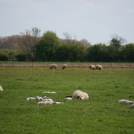 De Wijde Verten Oostkapelle Zewnętrze zdjęcie