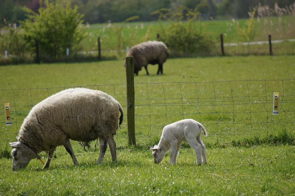 De Wijde Verten Oostkapelle Zewnętrze zdjęcie